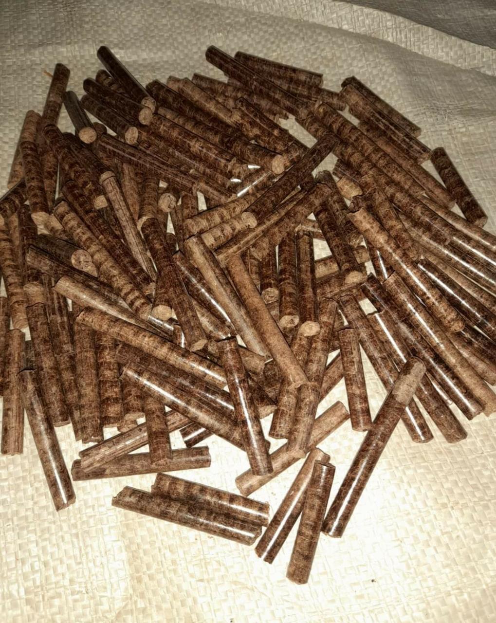 zo-th-1